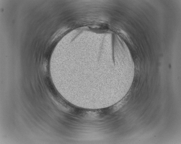 X0000066960166200604211850