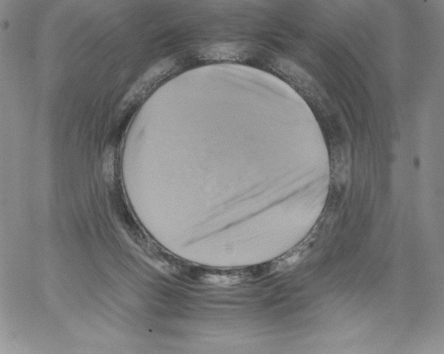 X0000066960167200604211850