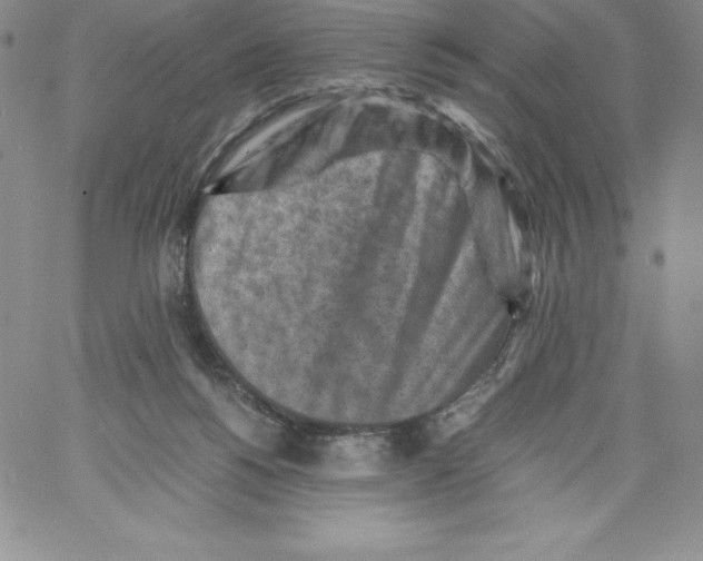 X0000066960168200604211850