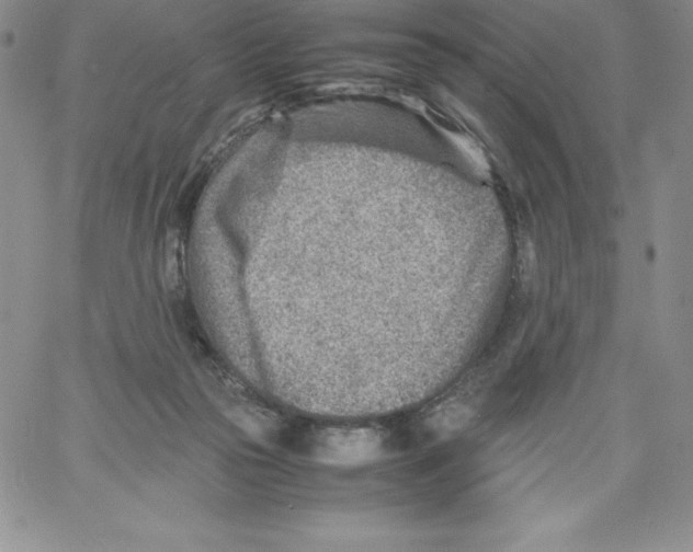 X0000066960169200604211850