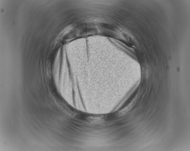 X0000066960170200604211850