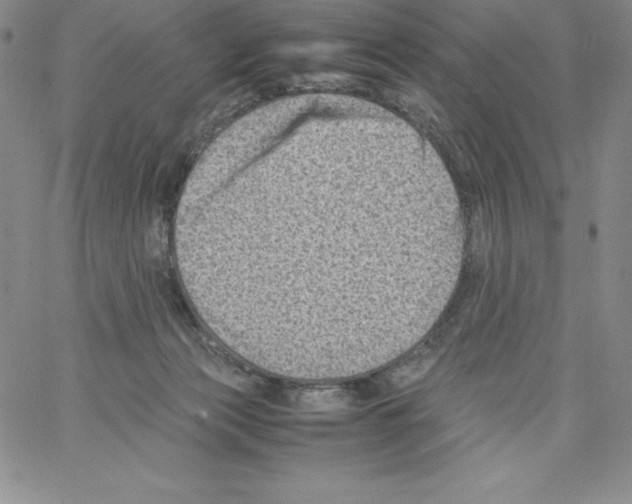 X0000066960173200604211850