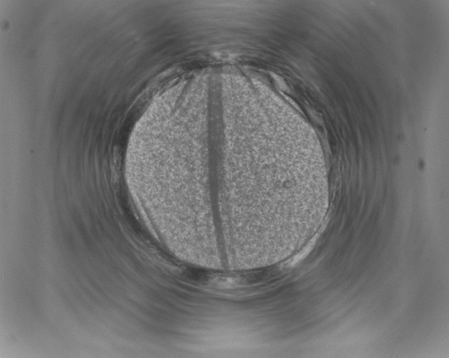 X0000066960174200604211850