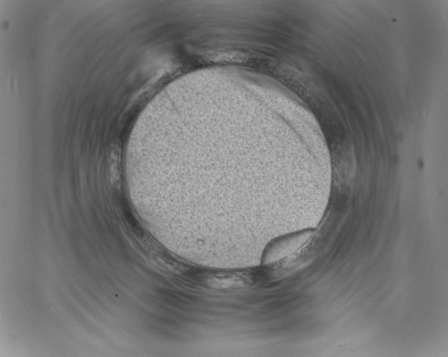 X0000066960175200604211850