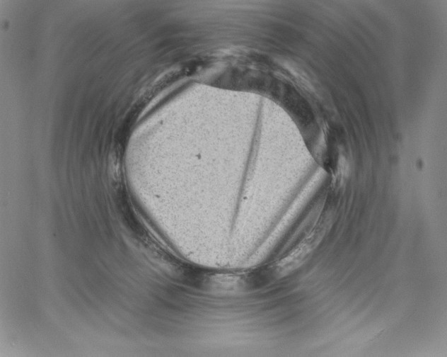 X0000066960176200604211850