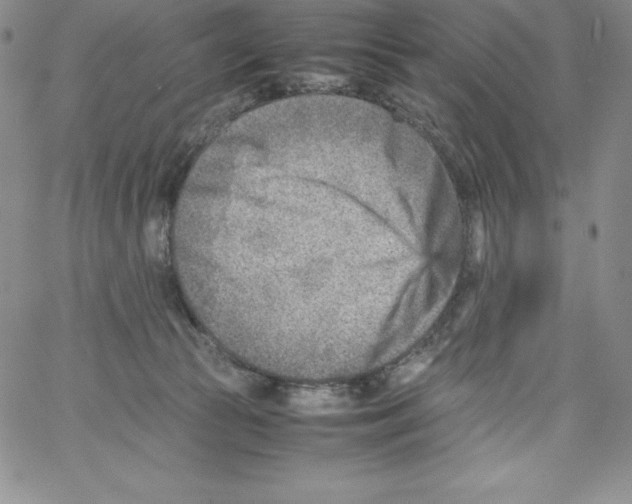 X0000066960177200604211850