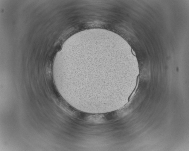 X0000066960179200604211850