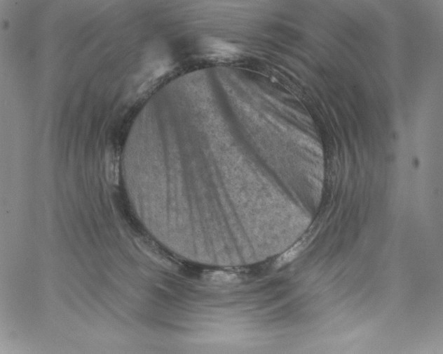 X0000066960180200604211850