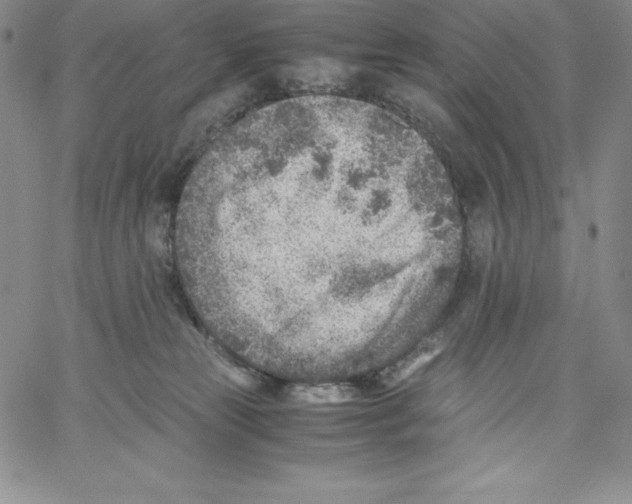 X0000066960181200604211850