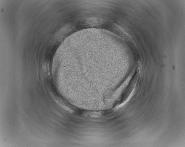 X0000066960182200604211850