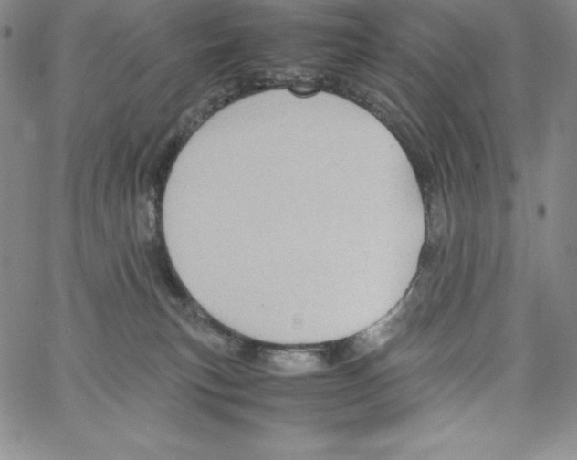 X0000066960183200604211850