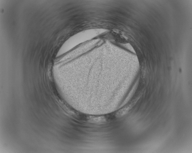 X0000066960185200604211850