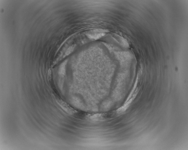 X0000066960186200604211850