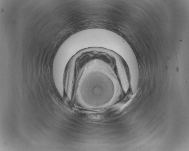 X0000066960187200604211850