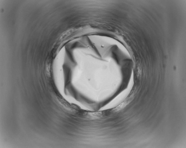 X0000066960188200604211850