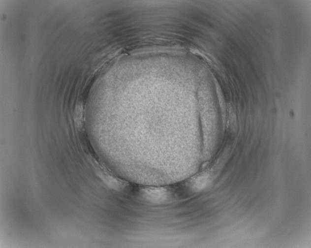 X0000066960189200604211850