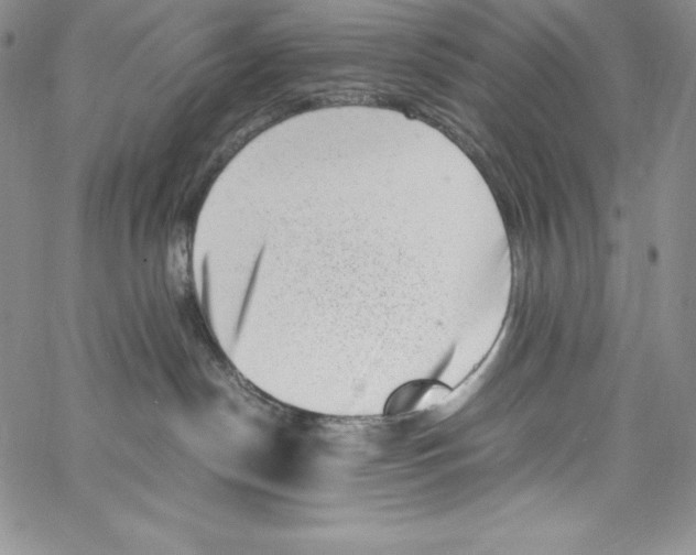 X0000066960190200604211850