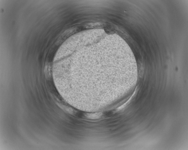 X0000066960191200604211850