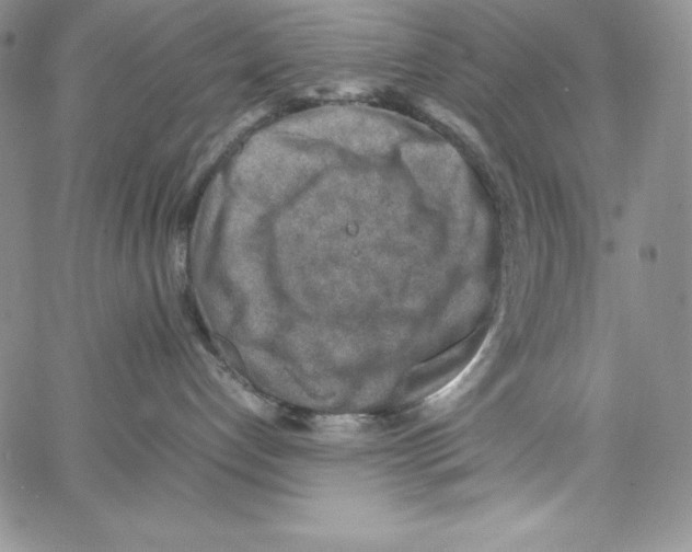 X0000066960192200604211851