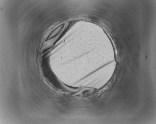 X0000066960193200604211850