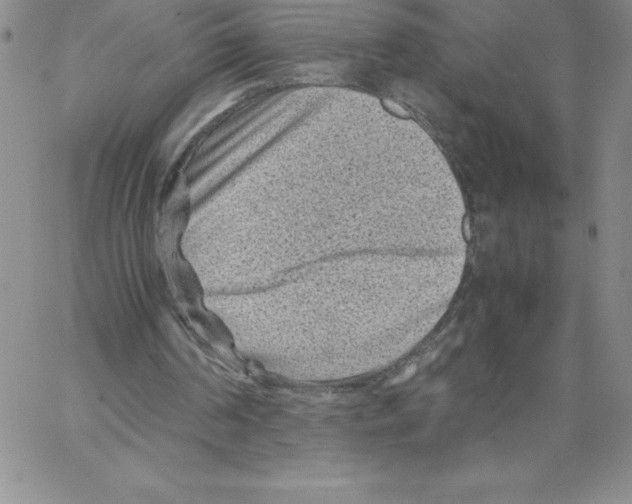 X0000066960194200604211850