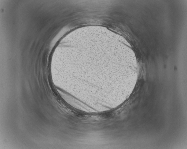 X0000066960195200604211850