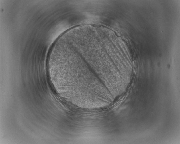 X0000066960196200604211850