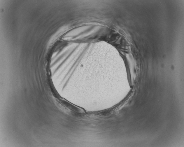 X0000066960197200604211850