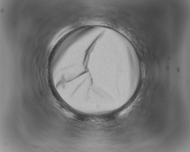 X0000066960199200604211850