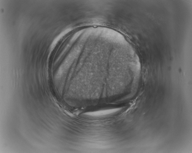 X0000066960200200604211850