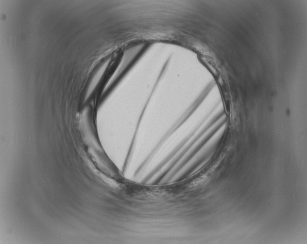 X0000066960201200604211850