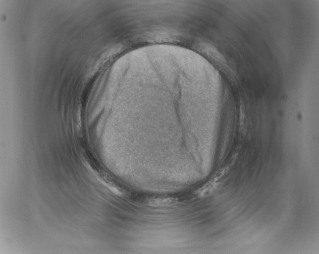 X0000066960202200604211850