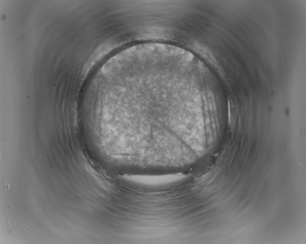 X0000066960204200604211850