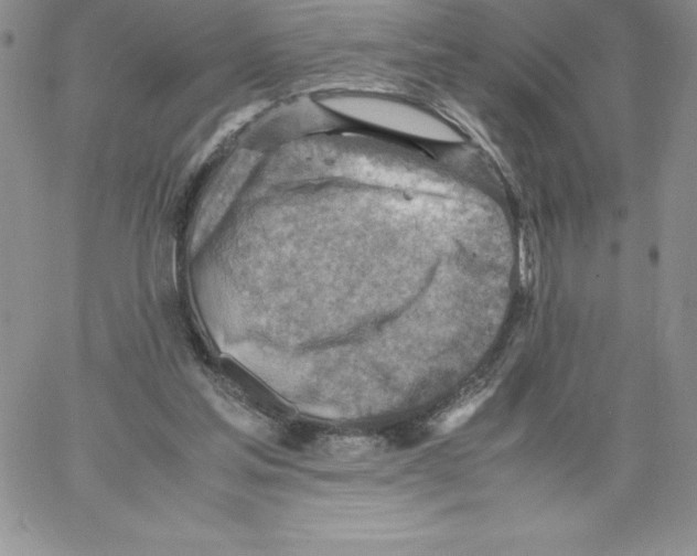 X0000066960205200604211850