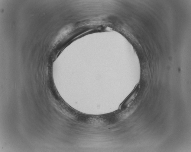 X0000066960207200604211849