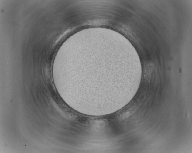 X0000066960208200604211849