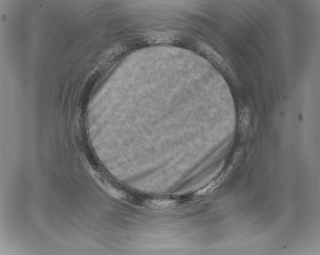 X0000066960209200604211849