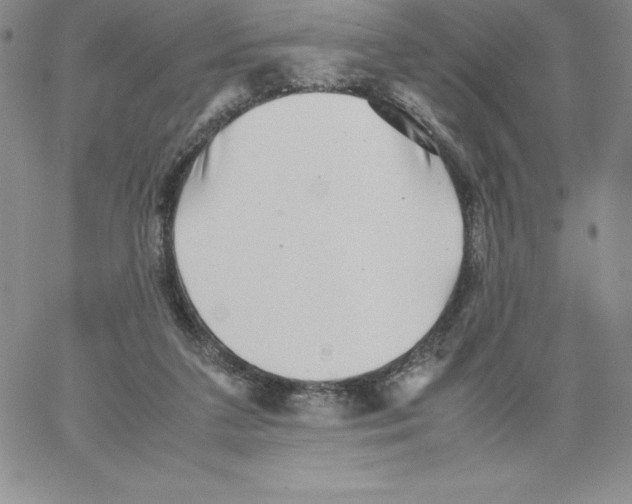 X0000066960211200604211849