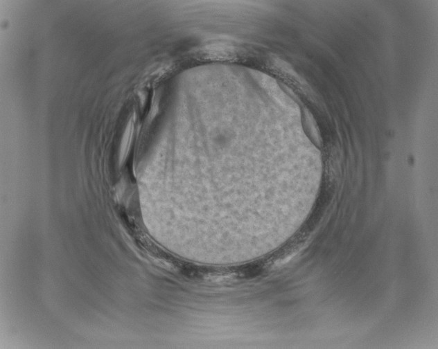 X0000066960213200604211849