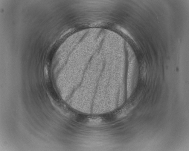 X0000066960214200604211849