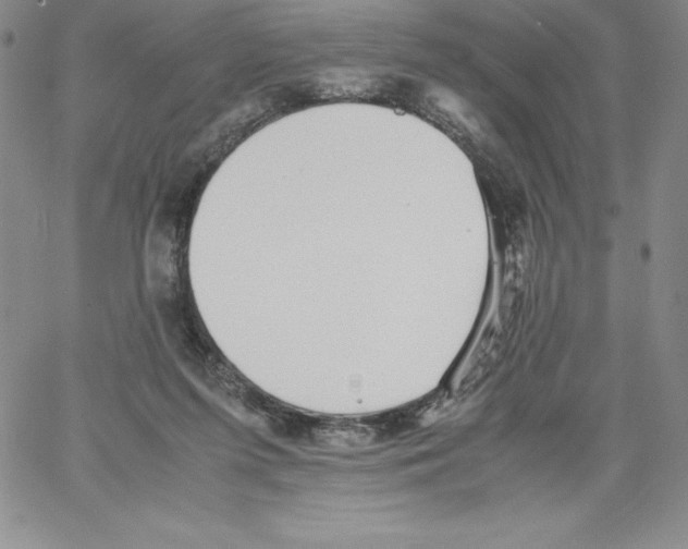 X0000066960215200604211849