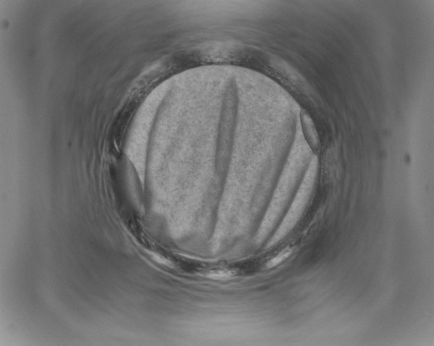 X0000066960217200604211849