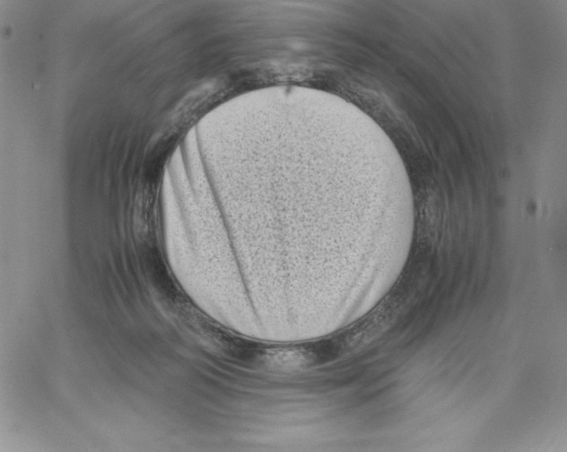 X0000066960218200604211849