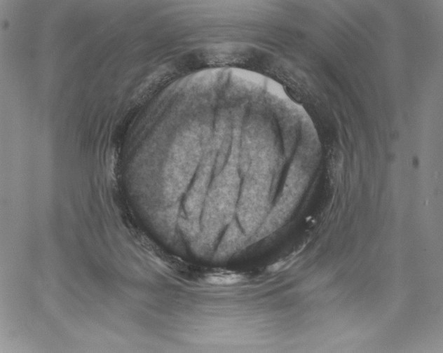 X0000066960219200604211849