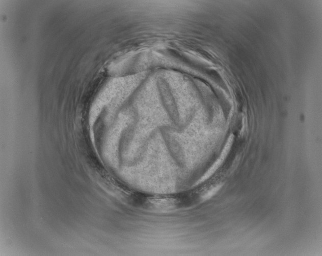 X0000066960221200604211849