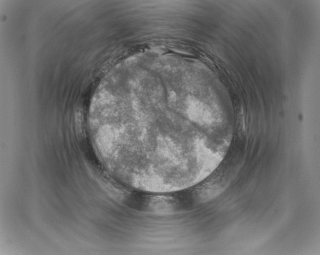 X0000066960222200604211849