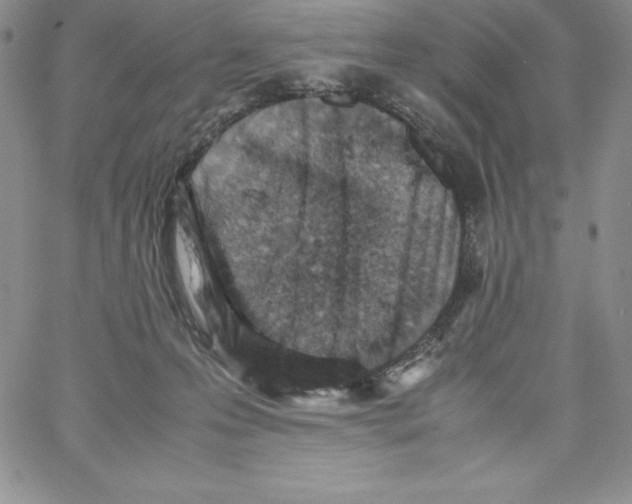 X0000066960223200604211849