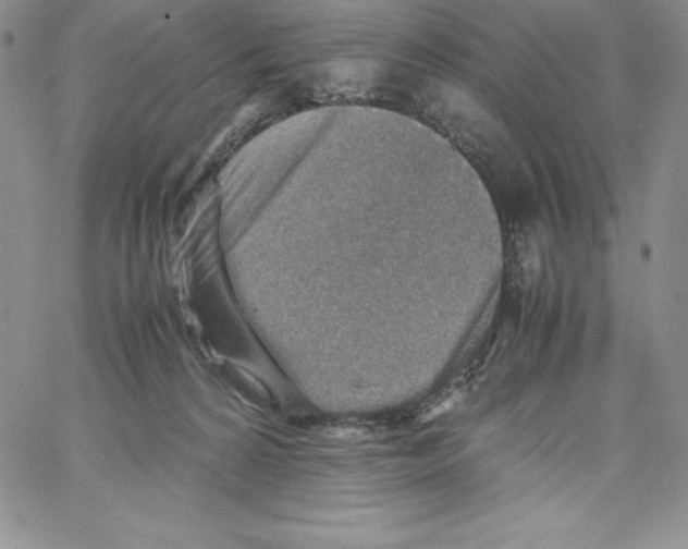 X0000066960224200604211849