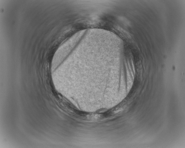 X0000066960225200604211849