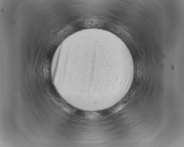 X0000066960226200604211849